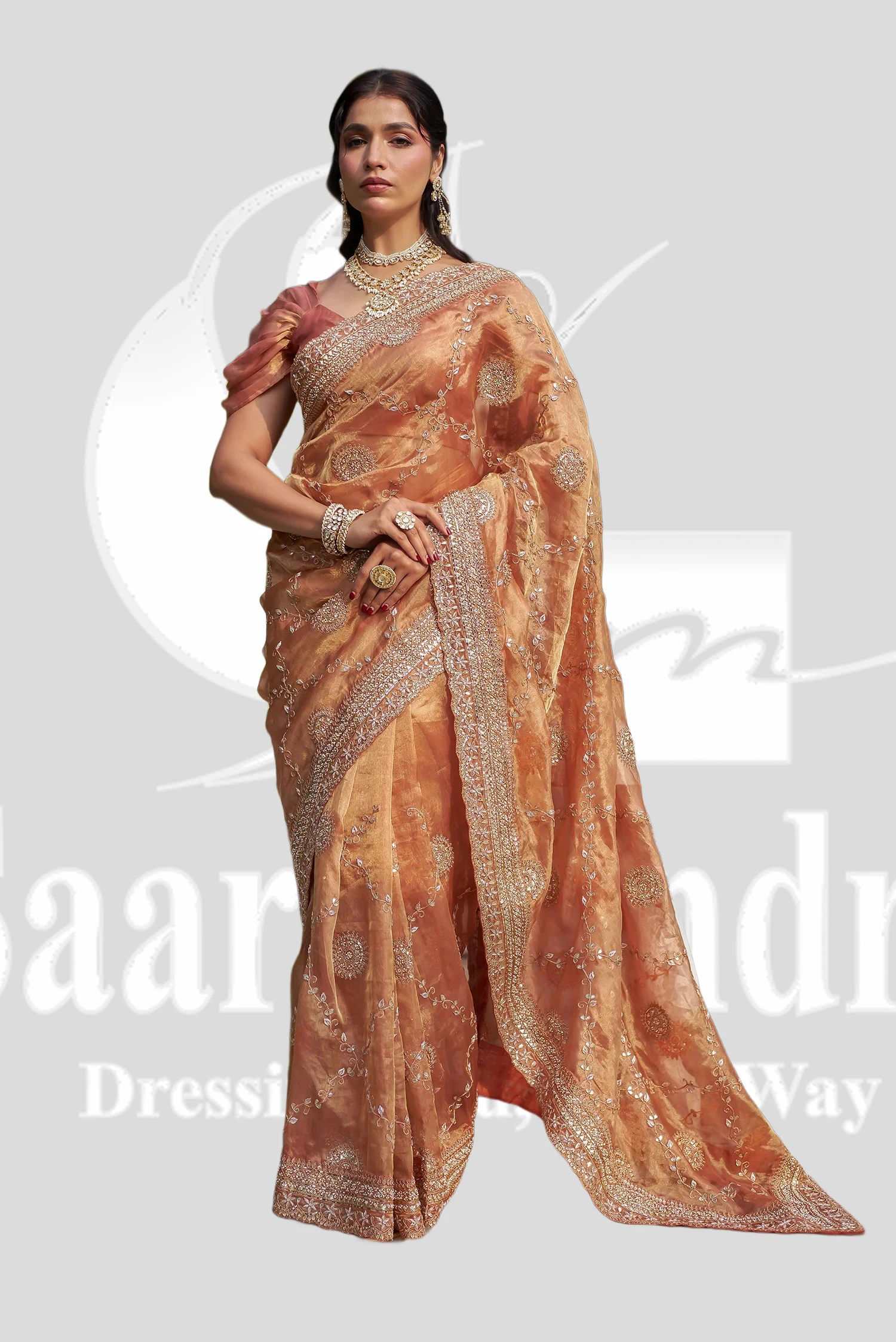Bridal Saree Design 5